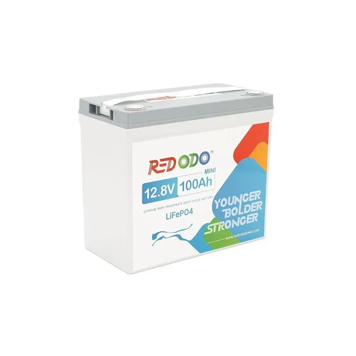 Батарея LiFePo4 Redodo 12.8V 100Ah, 1280Wh, BMS 100A, Mini (R12V100-100-MINI16-A60) зображення 2