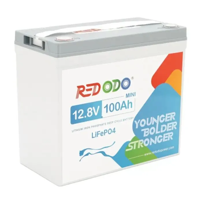 Батарея LiFePo4 Redodo 12.8V 100Ah, 1280Wh, BMS 100A, Mini (R12V100-100-MINI16-A60) зображення 2