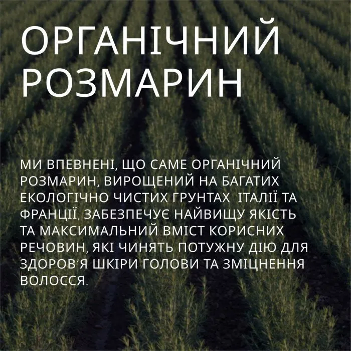 Шампунь Weleda Rosemary Revitalizing Shampoo 250 мл (4001638530378) зображення 6