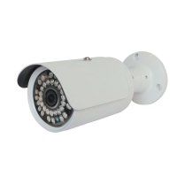 Камера відеоспостереження Greenvision GV-054-IP-G-COS20-30 POE (4942)
