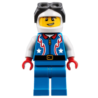 Конструктор LEGO Creator Бесстрашный самолет высшего пилотажа (31076) изображение 6