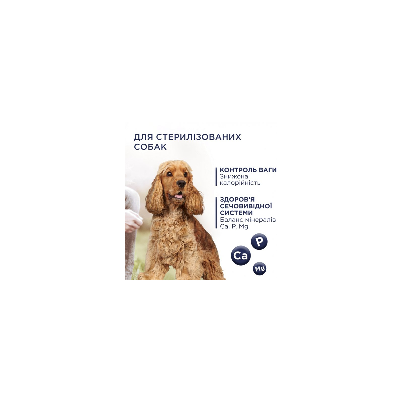 Сухий корм для собак Club 4 Paws Преміум. Контроль ваги з індичкою для середніх та великих порід 5 кг (4820215367868) зображення 2