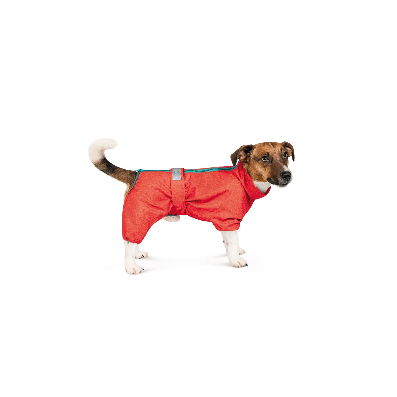Комбинезон для животных Pet Fashion "RAIN" для такс S (красный) (4823082425624)