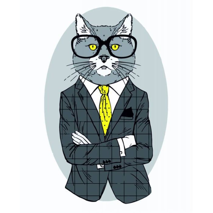 Картина по номерам Rosa Start Fashion Cat 35 х 45 см (N00013266) (4823098514275)