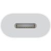 Переходник USB-C to Lightning Adapter (Model A2868) Apple (MUQX3ZM/A) изображение 3