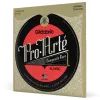Струны для гитары D'Addario Pro-Arte Composite Core Clear Nylon Normal Tension (EJ45C) изображение 2