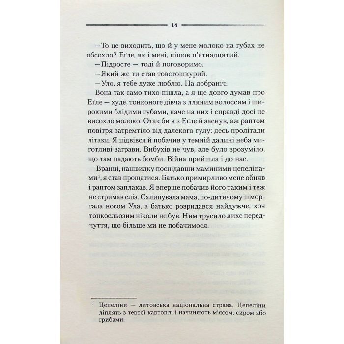 Книга Заячий костел - Василь Шкляр КСД (9786171511378) изображение 10