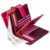 Гаманець Visconti RB51 Fiji з RFID Plum Multi (RB51 PLUM M) зображення 4