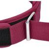 Атлетический пояс RDX RX5 Double Belt неопреновий Pink S (WBD-RX5P-S) изображение 5