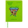 Щоденник шкільний Kite Ninja Turtles, тверда обкладинка (NT25-264)