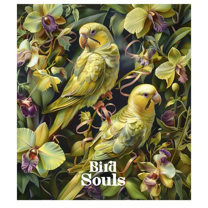 Зошит Школярик Bird Souls 96 аркушів клітинка (096-3457K) зображення 4