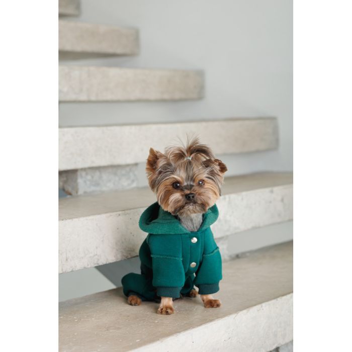Костюм для животных Pet Fashion Berry XS (4823082437580) изображение 5