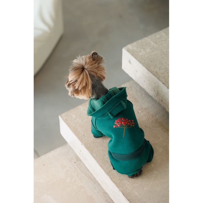 Костюм для животных Pet Fashion Berry XS (4823082437580) изображение 7