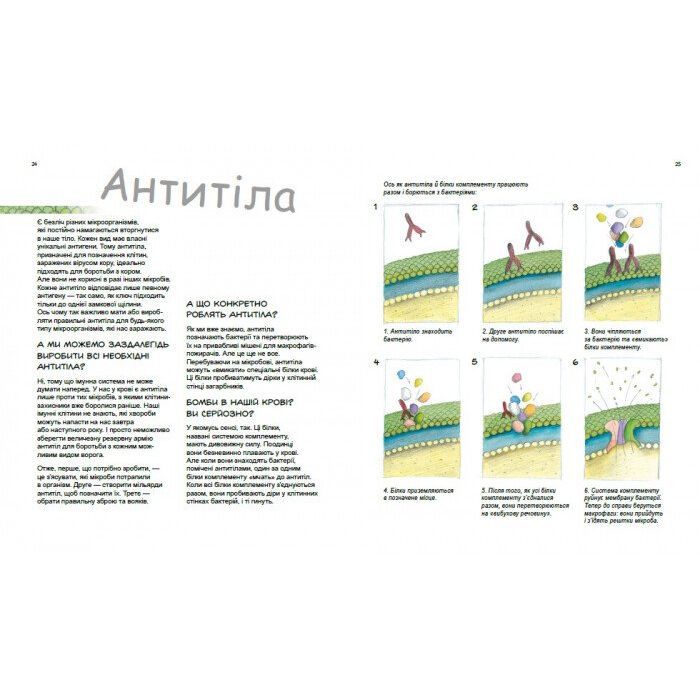 Книга Герої та лиходії в нашому тілі - Патрік А. Боерле Ранок (9786170969941) изображение 5