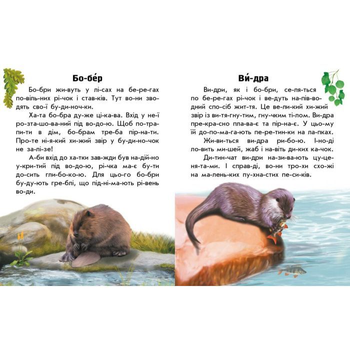 Книга Читаю про Україну. Тварини річок та морів - Ю.В. Каспарова Ранок (9786170981394) изображение 2