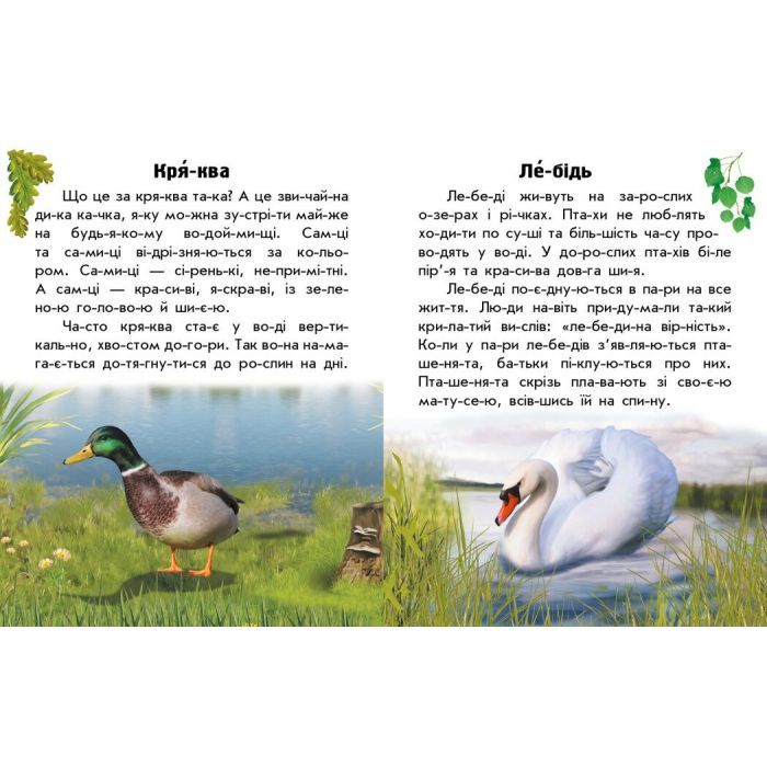 Книга Читаю про Україну. Тварини річок та морів - Ю.В. Каспарова Ранок (9786170981394) изображение 4