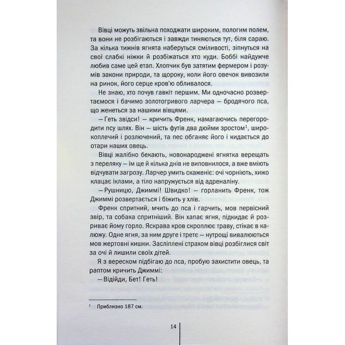 Книга Зруйнована країна - Клер Леслі Голл КСД (9786171518056) зображення 12