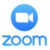 Системная утилита Zoom Webinar 500 1 year (Zoom Webinar 500 1 year)