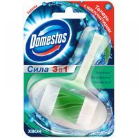 Туалетный блок Domestos Хвоя 40 г (8710908733307)