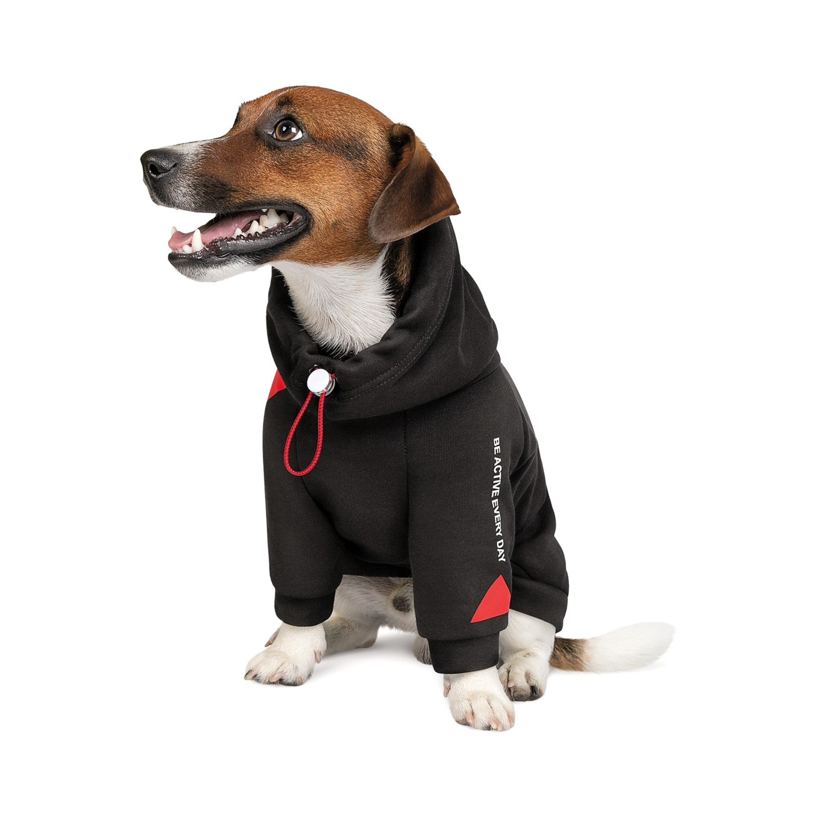Худи для животных Pet Fashion "Snoodie" M2 черное (4823082423439) изображение 2