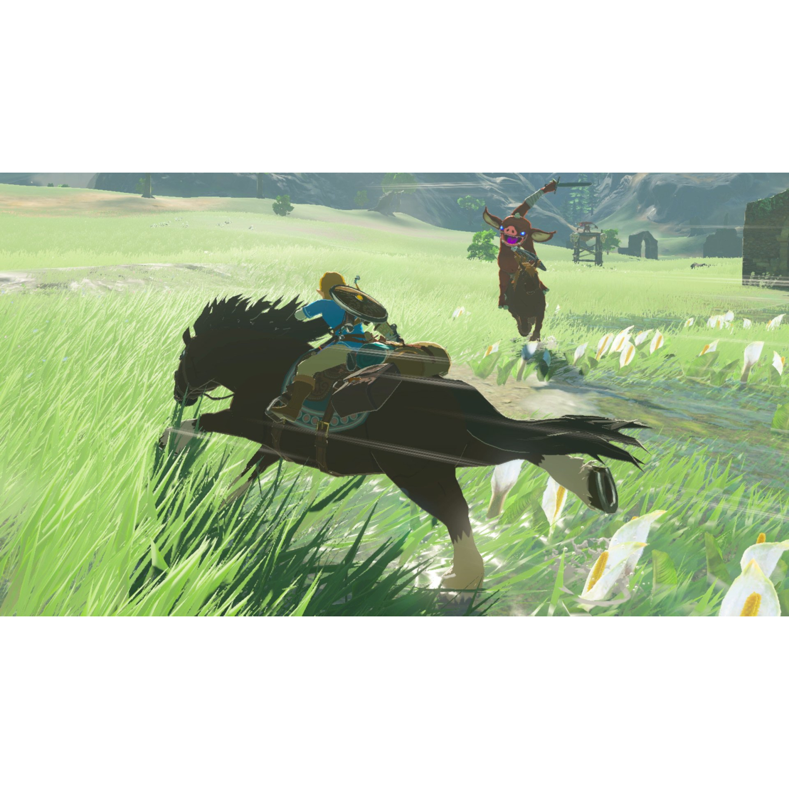 Игра Nintendo The Legend of Zelda: Breath of the Wild, картридж (045496420055) изображение 2