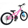 Детский велосипед Royal Baby Chipmunk Explorer 20", Official UA, розовый (CM20-3-pink) изображение 3