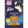 Влажный корм для кошек Purina Felix Fantastic Junior с курицей в желе 85 г (7613039832189)