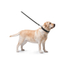 Поводок для собак Collar двойной с прошивкой Ш 16 мм Д 122 см черный (04571) изображение 3