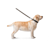 Повідок для собак Collar подвійний з прошивкою Ш 16 мм Д 122 см чорний (04571) зображення 4