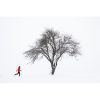 Куртка Turbat Trek Pro Wmn orange red L (012.004.3711) зображення 8