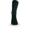 Термоноски Lasting трекінг WLS 504 XL (002.003.3569) изображение 2