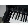 Цифровое пианино Casio AP-S450BK (363169) изображение 5