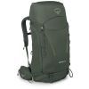 Рюкзак туристический Osprey Kestrel 48 bonsai green - S/M - зелений (009.3311)