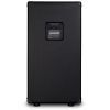 Гитарный кабинет Ampeg SVT-210AV изображение 3