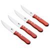 Набор ножей Bergner Bbq lovers для стейків, 4 предмети (BG-40201-MM) изображение 2
