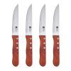 Набор ножей Bergner Bbq lovers для стейків, 4 предмети (BG-40201-MM)
