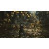 Игра Sony Black Myth: Wukong, BD диск (5056635611864) изображение 5