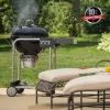 Гриль-барбекю Weber Performer Original GBS 57cm Black (15301004) зображення 6
