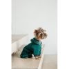 Костюм для животных Pet Fashion Berry XS (4823082437580) изображение 6