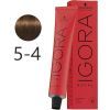 Фарба для волосся Schwarzkopf Professional Igora Royal 5-4 60 мл (4045787204544)