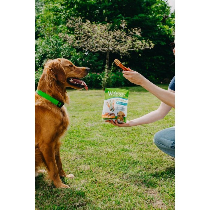 Ласощі для собак Whimzees Toothbrush L 6 шт (8718627750681) зображення 5