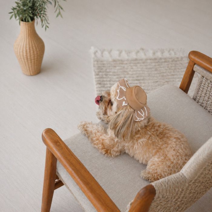 Кепка для животных Pet Fashion Print XL (4823082446070) изображение 3