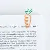 Закладки для книг Kite набор магнитных закладок с фигурными скрепками Pochacco (PC26-495) изображение 9