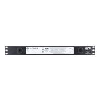 Дополнительное оборудование APC NetBotz Rack Monitor 250 (NBRK0250) изображение 2