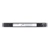 Дополнительное оборудование APC NetBotz Rack Monitor 250 (NBRK0250) изображение 2