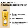 Шампунь Gliss Oil Nutritive для сухого та пошкодженого волосся 250 мл (9000100398381/9000100398435) зображення 4