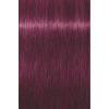 Краска для волос Schwarzkopf Professional Igora Royal 0-89 60 мл (4045787205787) изображение 2