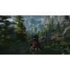Игра Nintendo The Witcher 3: Wild Hunt, картридж (5902367641825) изображение 2