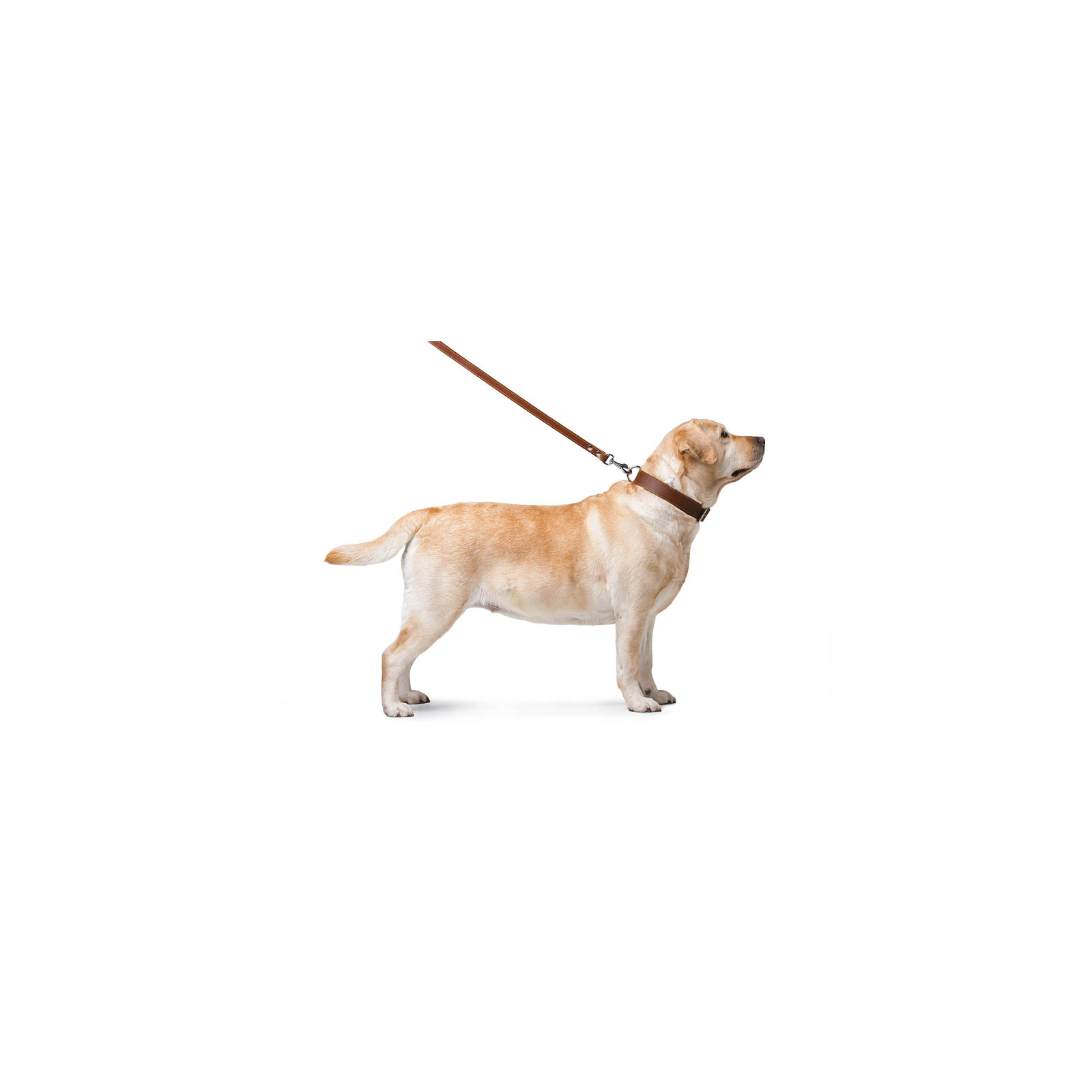 Поводок для собак Collar двойной с прошивкой Ш 25 мм Д 122 см коричневый (04826) изображение 4