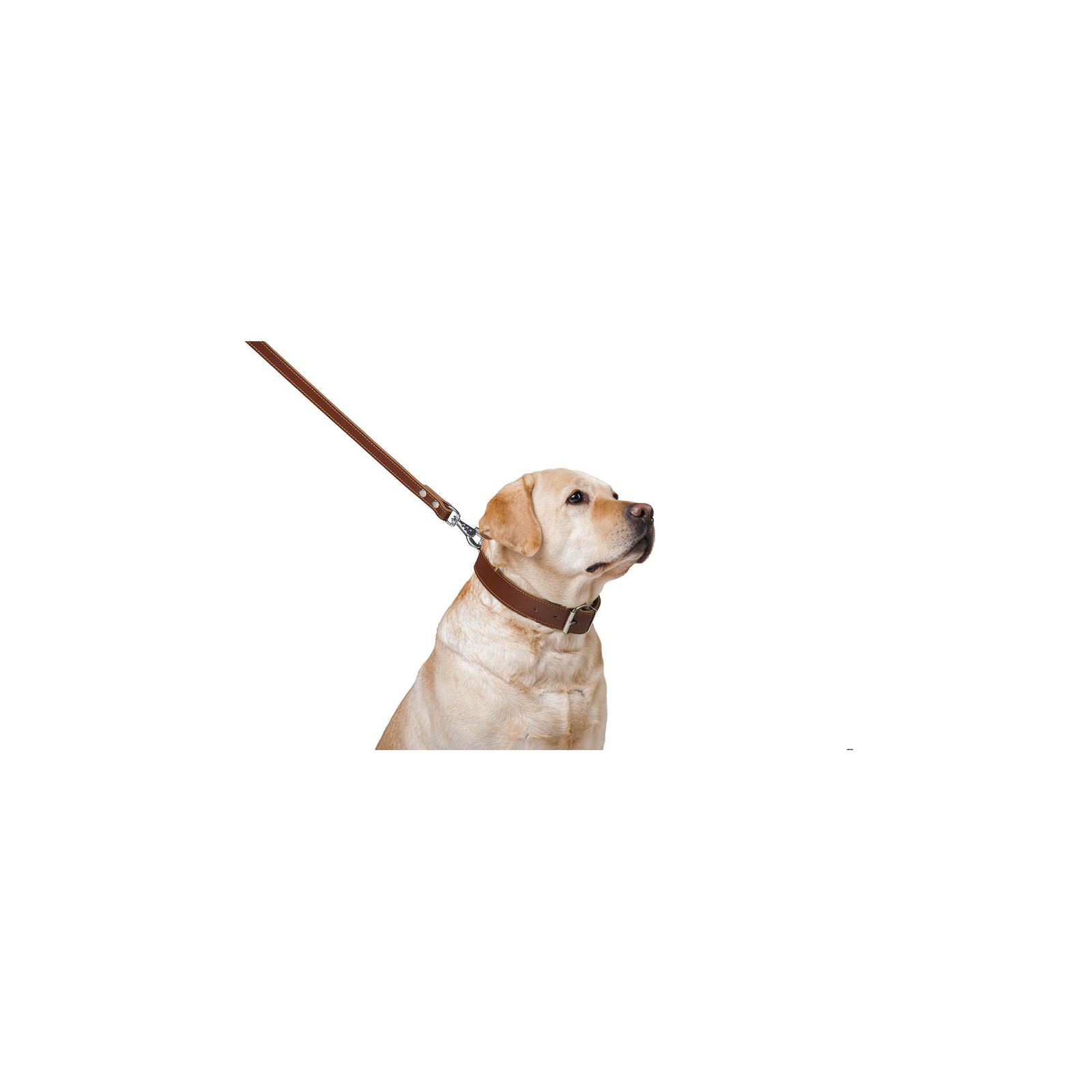 Повідок для собак Collar подвійний з прошивкою Ш 16 мм Д 122 см коричневий (04576) зображення 5